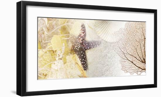 Coastal Gems II-null-Framed Art Print