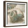 Coastal Gems II-John Seba-Framed Art Print