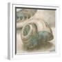 Coastal Gems II-John Seba-Framed Art Print