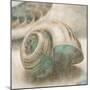 Coastal Gems II-John Seba-Mounted Art Print