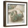 Coastal Gems II-John Seba-Framed Art Print