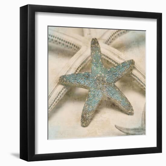 Coastal Gems III-John Seba-Framed Giclee Print