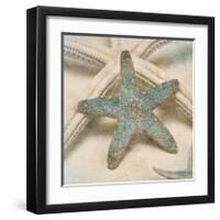 Coastal Gems III-John Seba-Framed Giclee Print