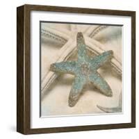 Coastal Gems III-John Seba-Framed Giclee Print