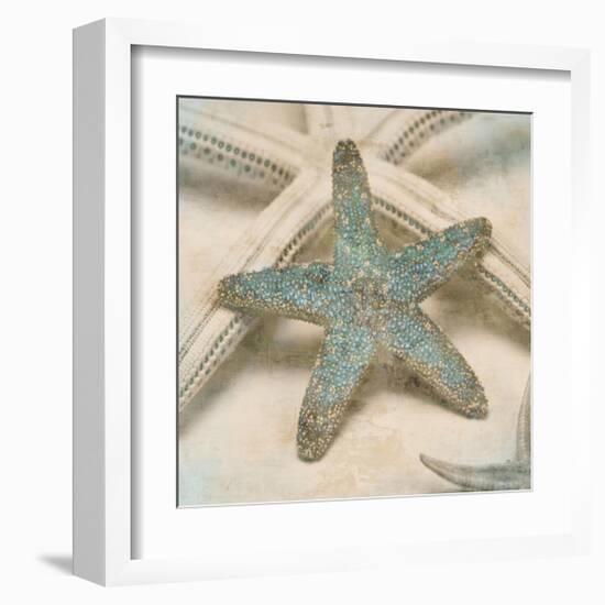 Coastal Gems III-John Seba-Framed Giclee Print