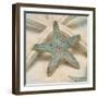 Coastal Gems III-John Seba-Framed Art Print