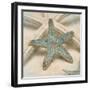 Coastal Gems III-John Seba-Framed Art Print