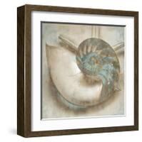 Coastal Gems IV-John Seba-Framed Giclee Print