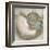 Coastal Gems IV-John Seba-Framed Giclee Print