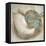 Coastal Gems IV-John Seba-Framed Stretched Canvas