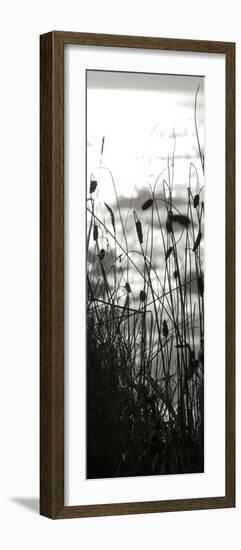 Coastal Grass Panel II-Erin Berzel-Framed Photographic Print