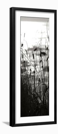 Coastal Grass Panel II-Erin Berzel-Framed Photographic Print