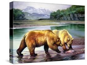 Coastal Grizz-Spencer Williams-Stretched Canvas