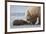 Coastal Grizzly bear cub begs for a clam. Lake Clark National Park, Alaska.-Brenda Tharp-Framed Premium Photographic Print