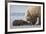 Coastal Grizzly bear cub begs for a clam. Lake Clark National Park, Alaska.-Brenda Tharp-Framed Premium Photographic Print