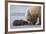 Coastal Grizzly bear cub begs for a clam. Lake Clark National Park, Alaska.-Brenda Tharp-Framed Premium Photographic Print