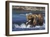 Coastal Grizzly Bear with Salmon in Mouth-null-Framed Photographic Print