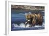 Coastal Grizzly Bear with Salmon in Mouth-null-Framed Photographic Print