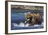 Coastal Grizzly Bear with Salmon in Mouth-null-Framed Photographic Print