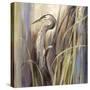 Coastal Heron-Brent Heighton-Stretched Canvas