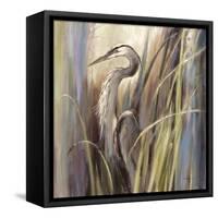 Coastal Heron-Brent Heighton-Framed Stretched Canvas