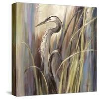Coastal Heron-Brent Heighton-Stretched Canvas