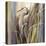 Coastal Heron-Brent Heighton-Stretched Canvas