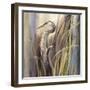 Coastal Heron-Brent Heighton-Framed Art Print