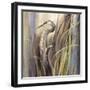 Coastal Heron-Brent Heighton-Framed Art Print