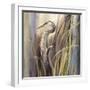 Coastal Heron-Brent Heighton-Framed Art Print