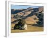 Coastal Hills of Marin County at Dusk, California, United States of America, North America-Rawlings Walter-Framed Photographic Print