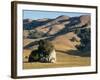 Coastal Hills of Marin County at Dusk, California, United States of America, North America-Rawlings Walter-Framed Photographic Print