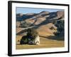 Coastal Hills of Marin County at Dusk, California, United States of America, North America-Rawlings Walter-Framed Photographic Print