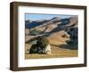 Coastal Hills of Marin County at Dusk, California, United States of America, North America-Rawlings Walter-Framed Photographic Print