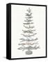 Coastal Holiday Tree II Red-Kathleen Parr McKenna-Framed Stretched Canvas