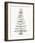 Coastal Holiday Tree II Red-Kathleen Parr McKenna-Framed Art Print