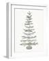 Coastal Holiday Tree II Red-Kathleen Parr McKenna-Framed Art Print