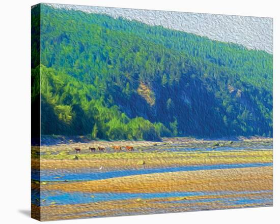 Coastal Horses-SM Design-Stretched Canvas