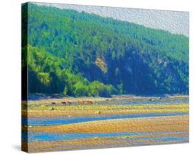 Coastal Horses-SM Design-Stretched Canvas