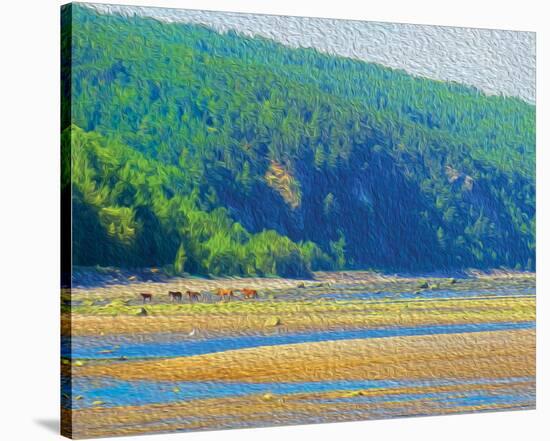 Coastal Horses-SM Design-Stretched Canvas