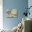 Coastal Hydrangea-Danhui Nai-Mounted Premium Giclee Print displayed on a wall