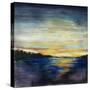 Coastal I-Joshua Schicker-Stretched Canvas