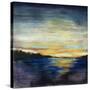 Coastal I-Joshua Schicker-Stretched Canvas