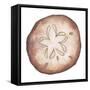 Coastal Icon Coral II-Elizabeth Medley-Framed Stretched Canvas