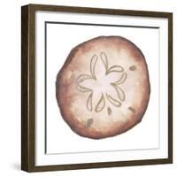 Coastal Icon Coral II-Elizabeth Medley-Framed Art Print