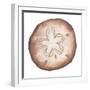 Coastal Icon Coral II-Elizabeth Medley-Framed Art Print
