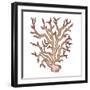 Coastal Icon Coral III-Elizabeth Medley-Framed Art Print