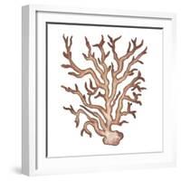 Coastal Icon Coral III-Elizabeth Medley-Framed Art Print