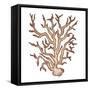 Coastal Icon Coral III-Elizabeth Medley-Framed Stretched Canvas