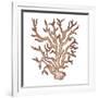 Coastal Icon Coral III-Elizabeth Medley-Framed Art Print